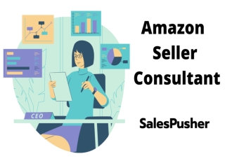 AMAZON SELLER CONSULTANT