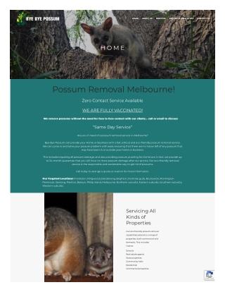 Possum Removal Melbourne
