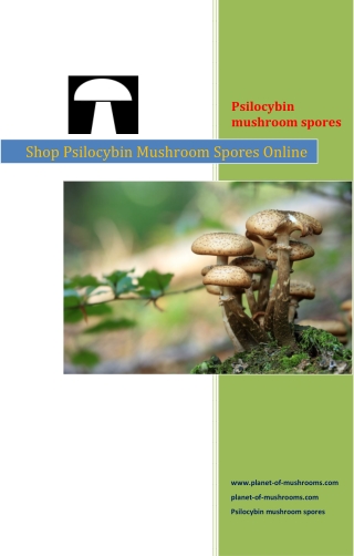 Shop Psilocybin Mushroom Spores Online - Planet-of-mushrooms