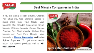 Best Masala Companies in India