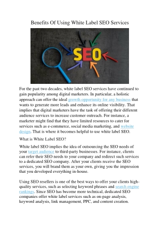 Benefits Of Using White Label SEO Services