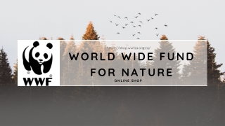 WWF For Nature SA - Presentation (November 2021)