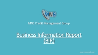 Business Information Report