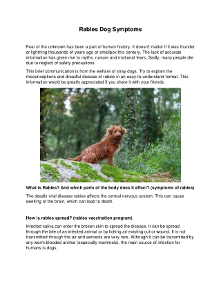 Rabies Dog Symptoms