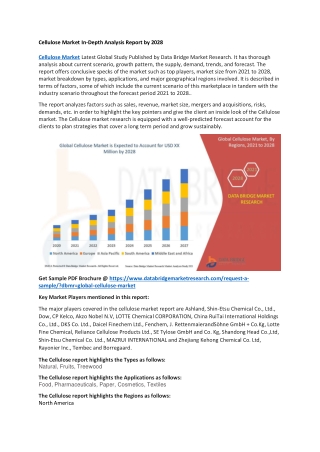 Cellulose Market In-Depth Analysis Report by 2028
