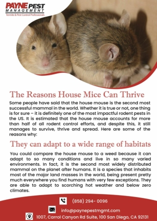 San diego commercial pest control Rodent control San diego
