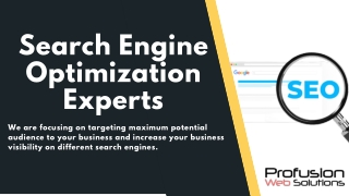 Hire Search Engine Optimization Experts - ProFusion Web Solutions