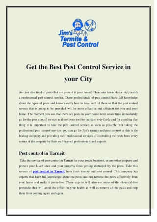 Get the Best Pest Control Service in your City