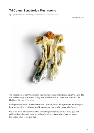 Tri-Colour Ecuadorian Mushrooms