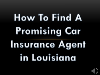 How To Find A Promising Car Insurance Agent in Louisiana