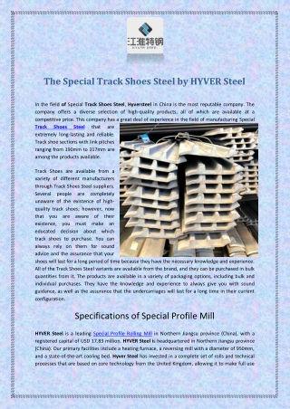 The Special Track Shoes Steel by HYVER Steel