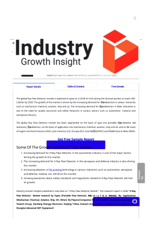 X-Ray Flaw Detector Market Report | Global Forecast To 2028