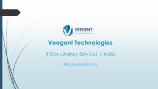 IT Consultancy Services In India Veegent Technologies