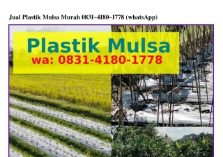 Jual Plastik Mulsa Murah Ö8ᣮl.Ꮞl8Ö.lᜪᜪ8[WhatsApp]