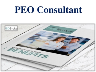 PEO Consultant