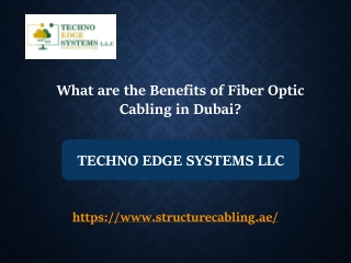 What are the Benefits of Fiber Optic Cabling in Dubai?