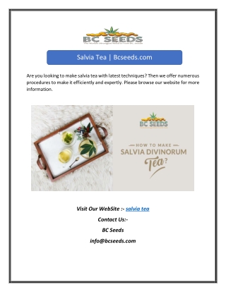 Salvia Tea | Bcseeds.com