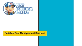 Reliable Pest Management Services - Pest Control Expert