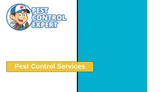 Pest Control Services - Pest Control Expert