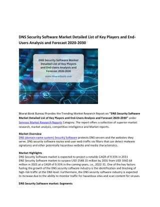 Global DNS Security Software Market Research Report 2020-2030