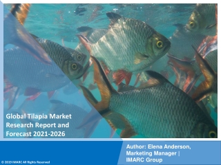 Tilapia Market PDF, Size, Share, Trends, Industry Scope 2021-2026