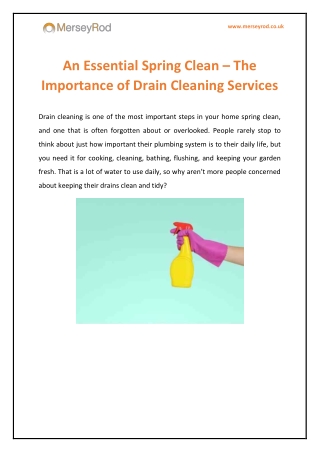 An Essential Spring Clean – The Importance of Drain Cleaning Services