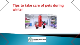 Tips to take care of pets during winter