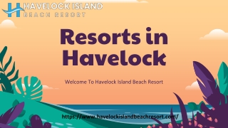 Top Resorts in Havelock