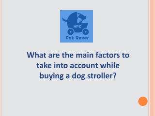 What are the main factors to take into account while buying a dog stroller?