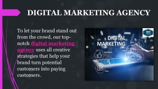 Digital Marketing Agency