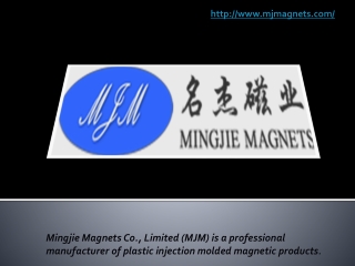 Most Trustworthy Injection Molded Magnets Suppliers