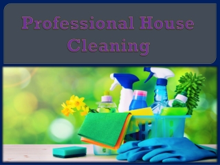 Professional House Cleaning