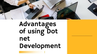 Advantages of using Dot net Development