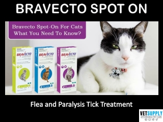 Bravecto Spot On for Cats - Flea and Paralysis Tick Treatment | Pet Care | VetSu