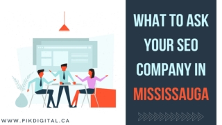 What to Ask Your SEO Company in Mississauga