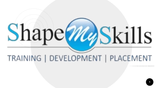 ShapeMySkills Python Training