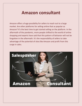 Amazon consultant