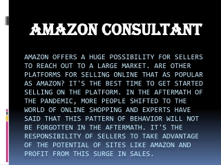 Amazon Consultant