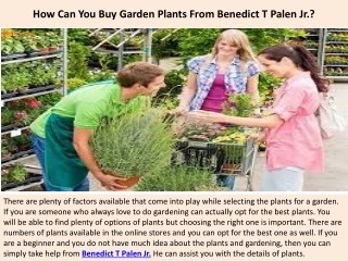 How Can You Buy Garden Plants From Benedict T Palen Jr.?