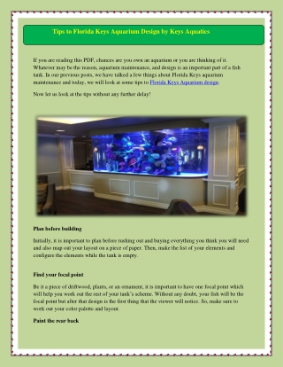 Key West’s Best Aquarium Design Team A Minute Away! Contact Now