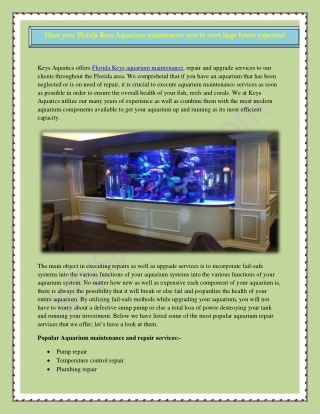 Hire Best Team for Aquarium Maintenance in Florida Keys!