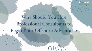 Professional Experts of Offshore Company Setup in Dubai