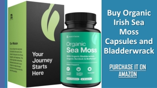 Buy Organic Irish Sea Moss Capsules and Bladderwrack