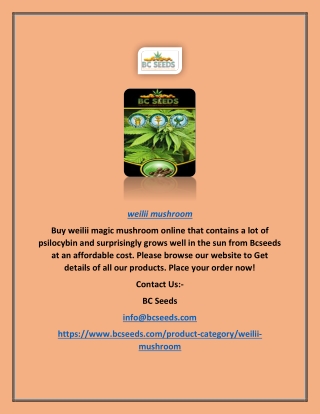 Best Weilii Mushroom | Bcseeds.com