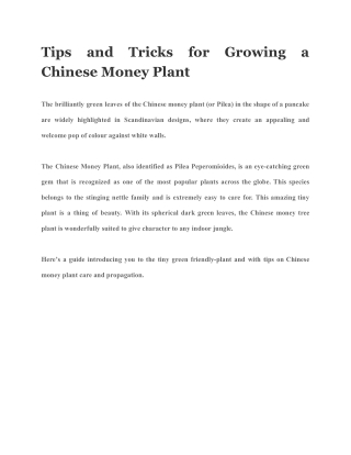 Tips and Tricks for Growing a Chinese Money Plant