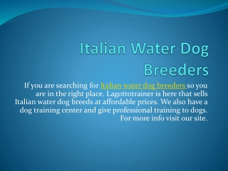 Italian Water Dog Breeders