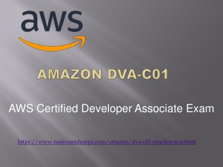 Latest Amazon DVA-C01 Dumps with Online Test Engine