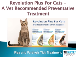 Revolution Plus for Cats - Flea and Paralysis Tick Treatment | Pet Care
