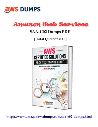 SAA-C02 Real Exam Dumps PDF