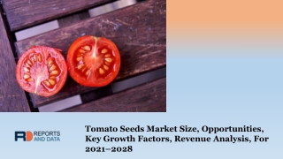 Tomato Seeds Market Size, Opportunities, Key Growth Factors, 2028